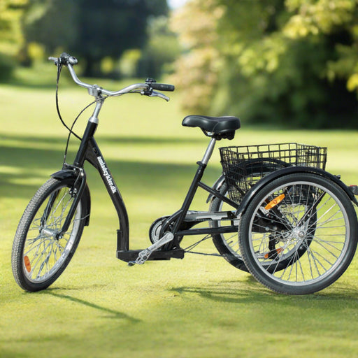Amcargobikes Adult 40km Range Electric Tricycle Black - North Sports Group