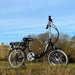 Dallingridge Oxford 250W Electric Folding Bike, Black North Sports Group