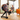 Echelon Row Smart Rowing Machine North Sports Group
