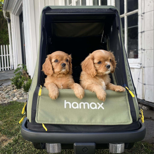 Hamax Pluto Dog Trailer Medium, Green - North Sports Group