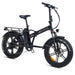 Hygge Vester Electric Folding Bike, Onyx Black - North Sports Group
