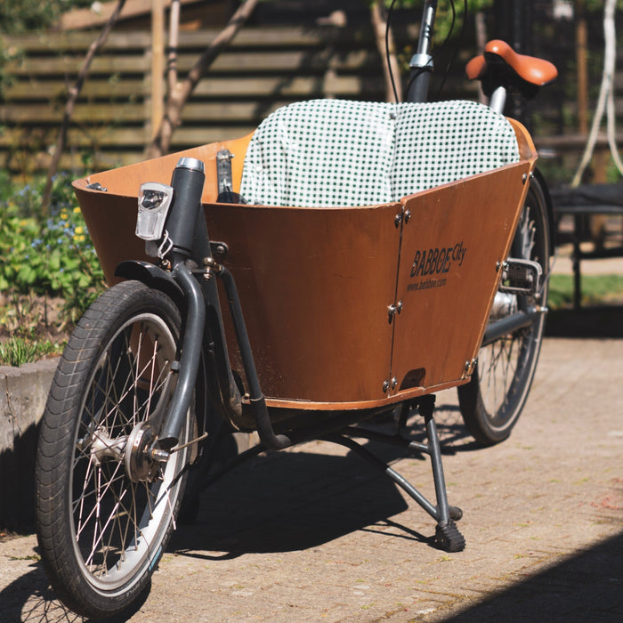 What Is An Electric Cargo Bike?
