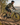 Electric Mountain Bikes
