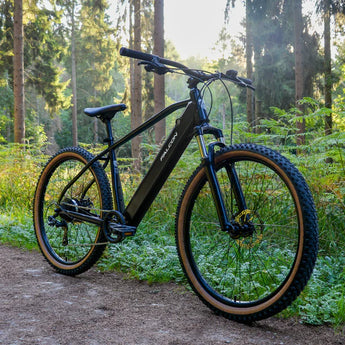Mountain Bikes (MTB)