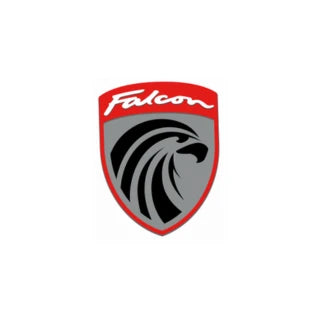 Falcon Electric Bikes