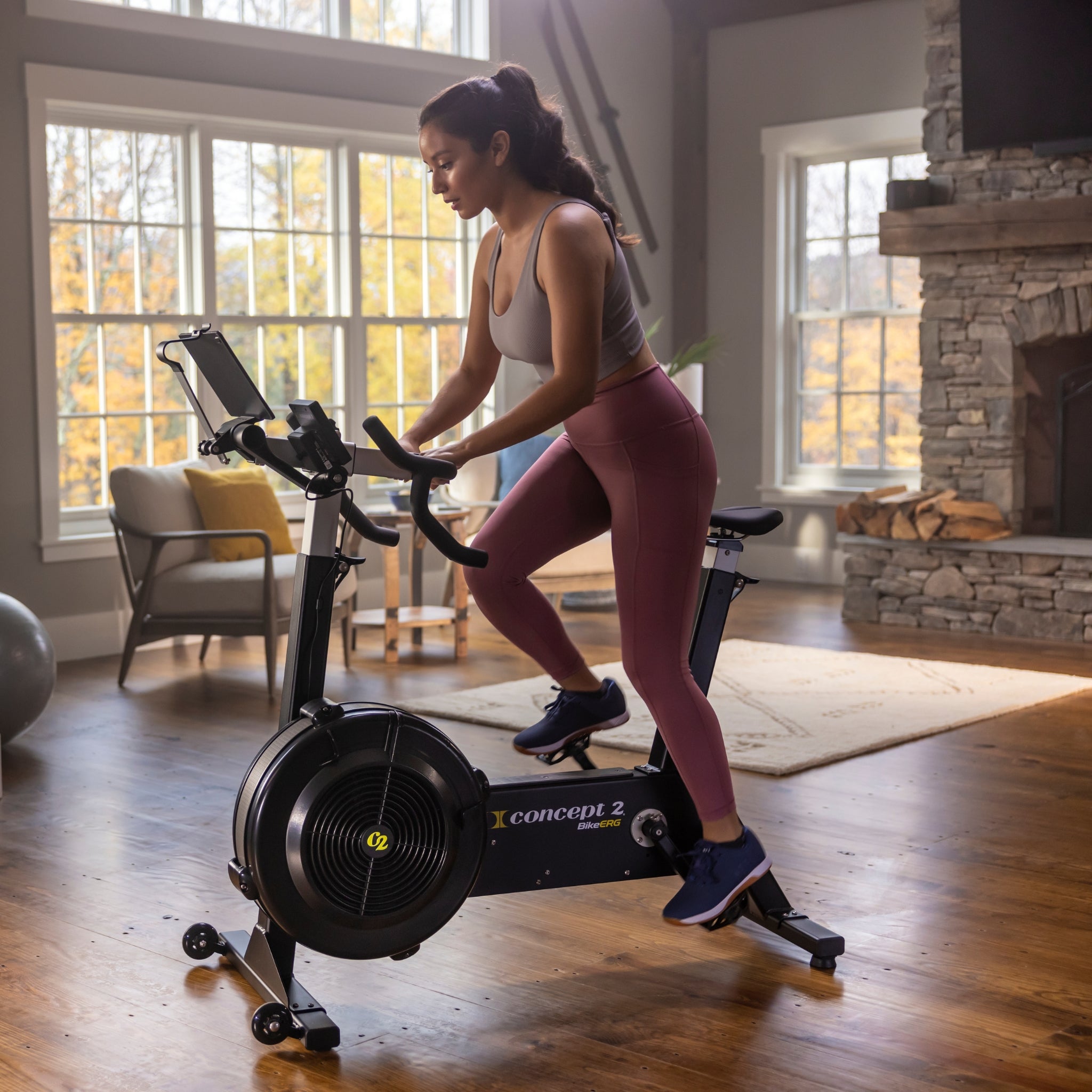 Rowing Machine Rogue Echo Bike Vs Concept Bikeerg Bike Erg Rogue