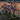 Dawes Venture 2.0 Crossbar EQ Hybrid Bike