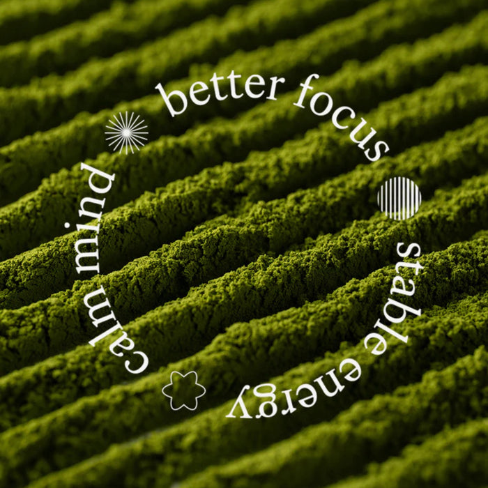 Text on a green textured background with words like 'better focus', 'stable energy', and 'calm mind'.