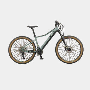 A green Ezego Trail Destroyer II electric mountain bike displayed against a neutral background.