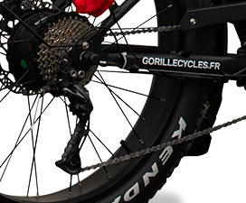 Gorille-electric-bike-close-up-wheel-North-Sports-Group