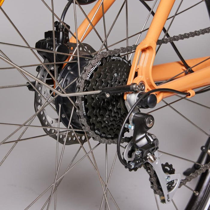 Juicy Bike Roller Electric Bike