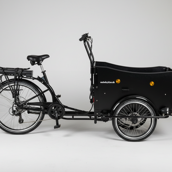 A black cargo tricycle parked inside a garage or storage room with shelves and bins in the background. The tricycle has a large black cargo box attached to a bicycle frame and three wheels, with a small white logo on the side.