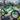 Squish 16" Kids Bike
